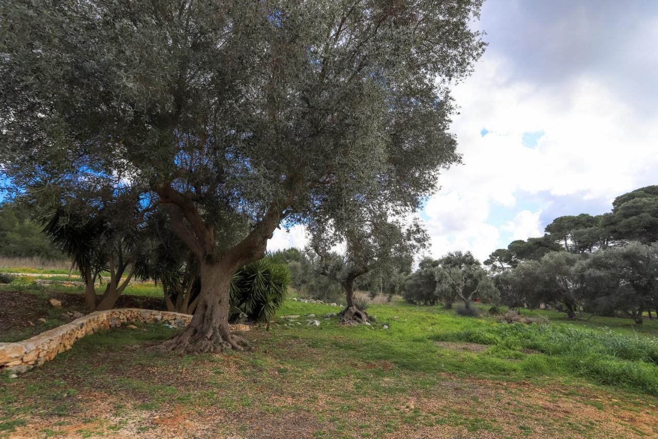 Casina Fumarola * Ostuni